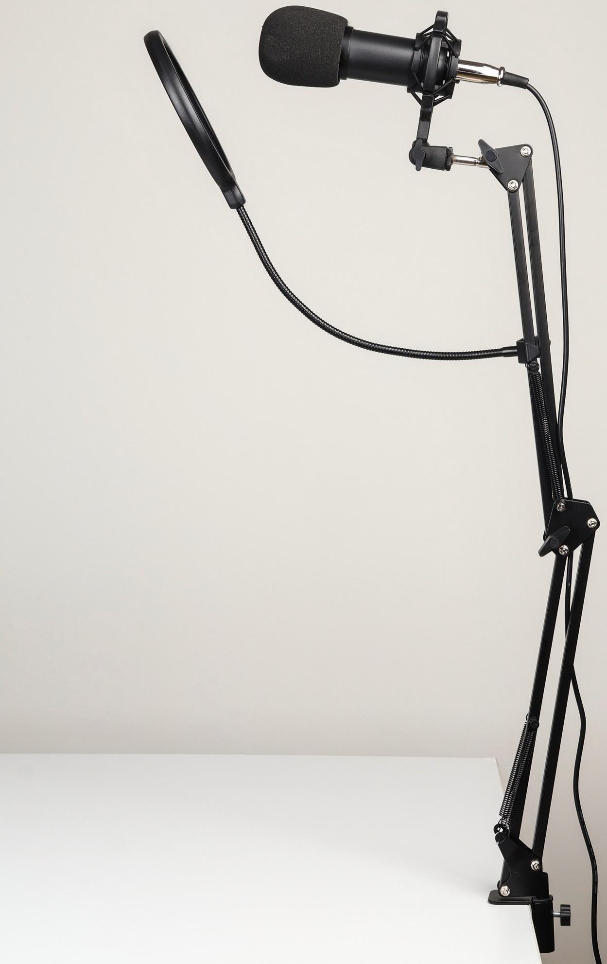 Микрофон конденсаторный Music Life черный: кабель, ветрозащита, стойка
