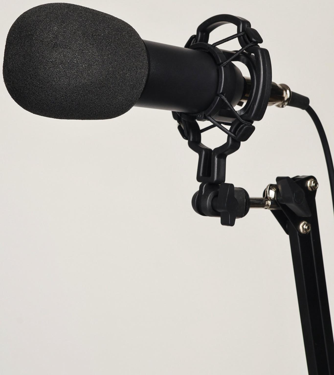 Микрофон конденсаторный Music Life черный: кабель, ветрозащита, стойка