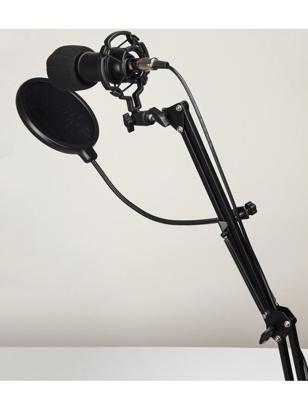 Микрофон конденсаторный Music Life черный: кабель, ветрозащита, стойка