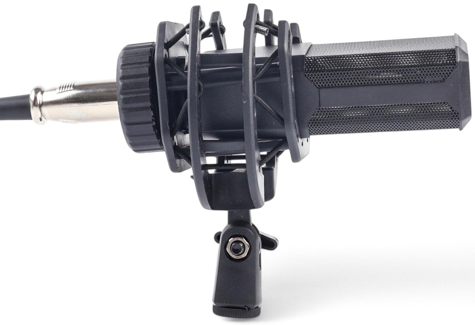 Микрофон конденсаторный Music Life LGT240: стойка + кабель в комплекте