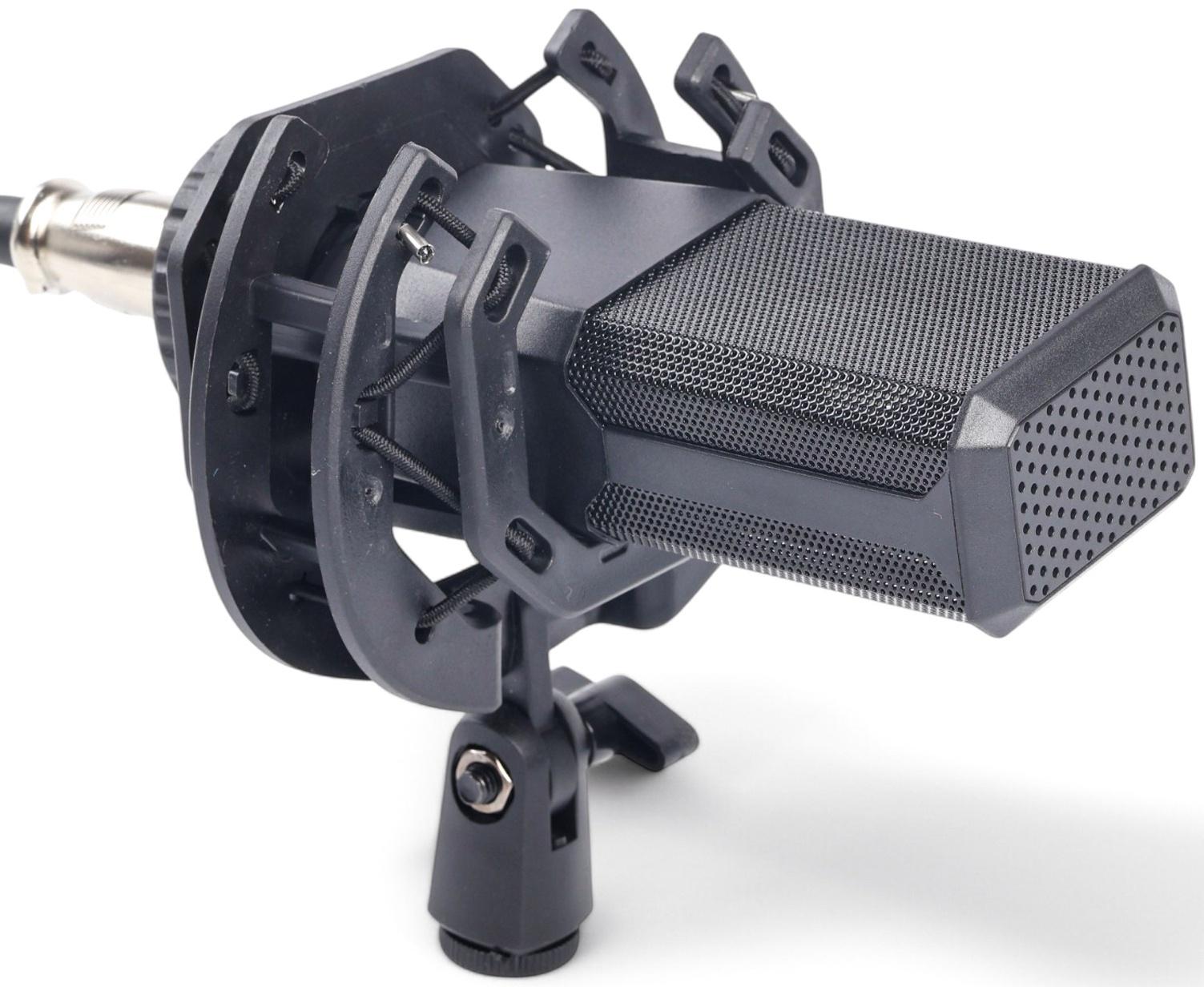 Микрофон конденсаторный Music Life LGT240: стойка + кабель в комплекте