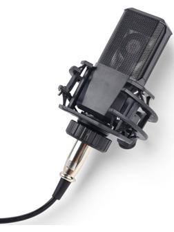 Микрофон конденсаторный Music Life LGT240: стойка + кабель в комплекте