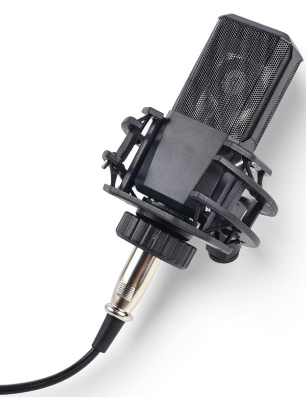 Микрофон конденсаторный Music Life LGT240: стойка + кабель в комплекте