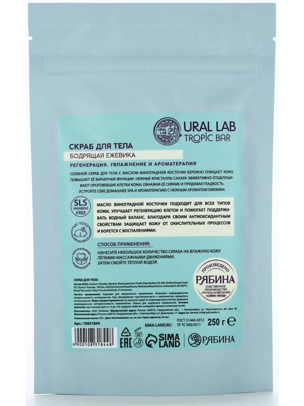 Скраб для тела соляной «Ежевика» с маслом виноградной косточки, 250 г, TROPIC BAR