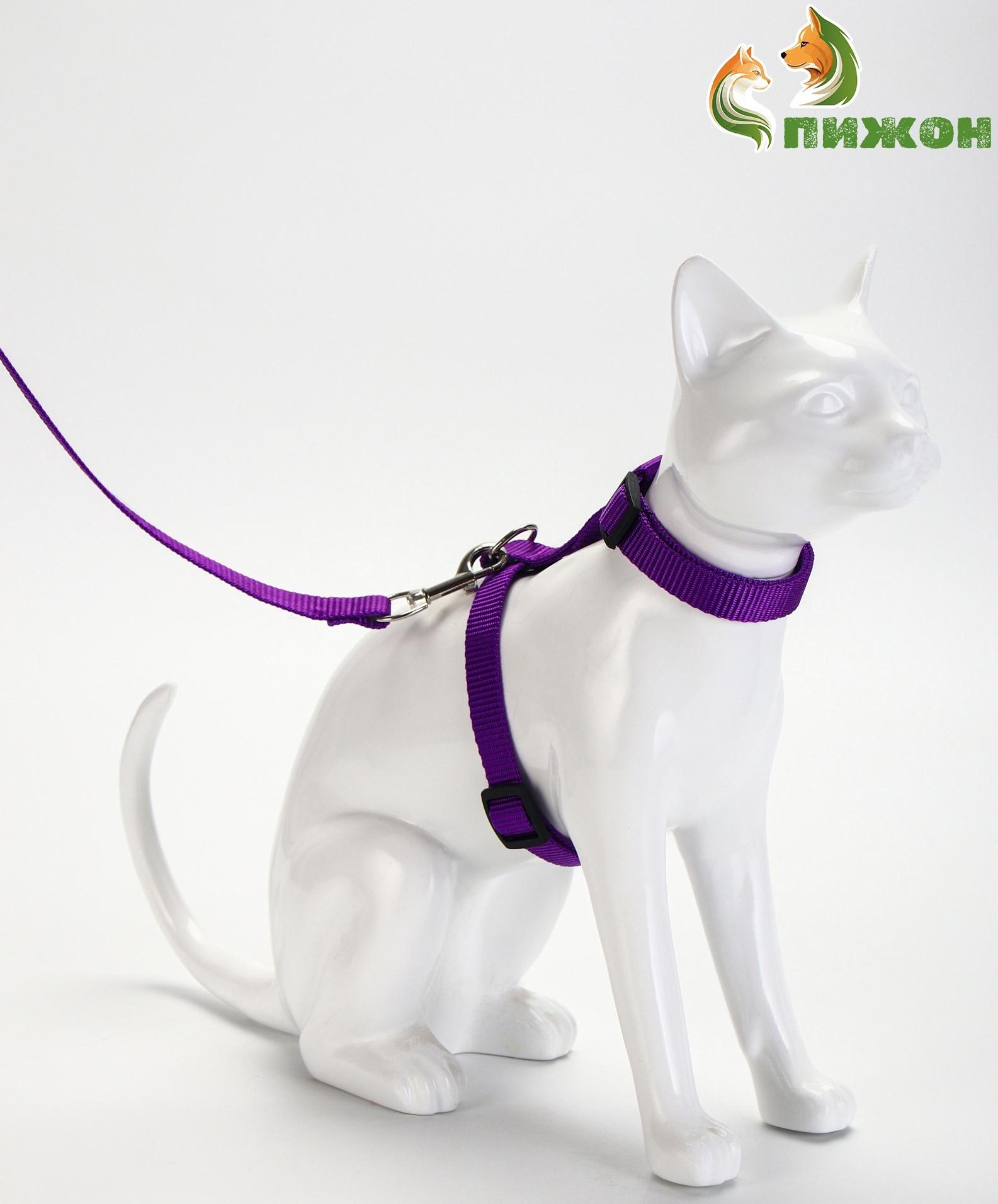 Комплект для кошек, ширина 1,5 см, ОШ 16,5-27 см, ОГ 21-35 см, поводок 120 см, фиолетовый