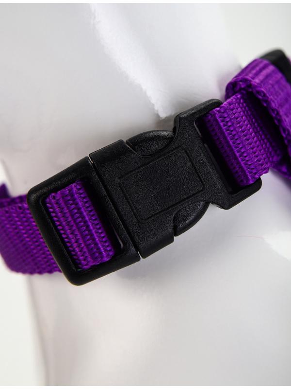 Комплект для кошек, ширина 1,5 см, ОШ 16,5-27 см, ОГ 21-35 см, поводок 120 см, фиолетовый