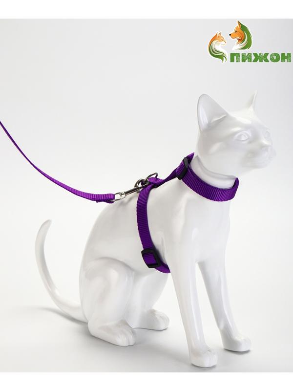 Комплект для кошек, ширина 1,5 см, ОШ 16,5-27 см, ОГ 21-35 см, поводок 120 см, фиолетовый