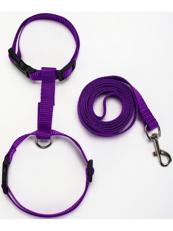 Комплект для кошек, ширина 1,5 см, ОШ 16,5-27 см, ОГ 21-35 см, поводок 120 см, фиолетовый