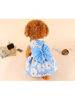 Платье для животных 