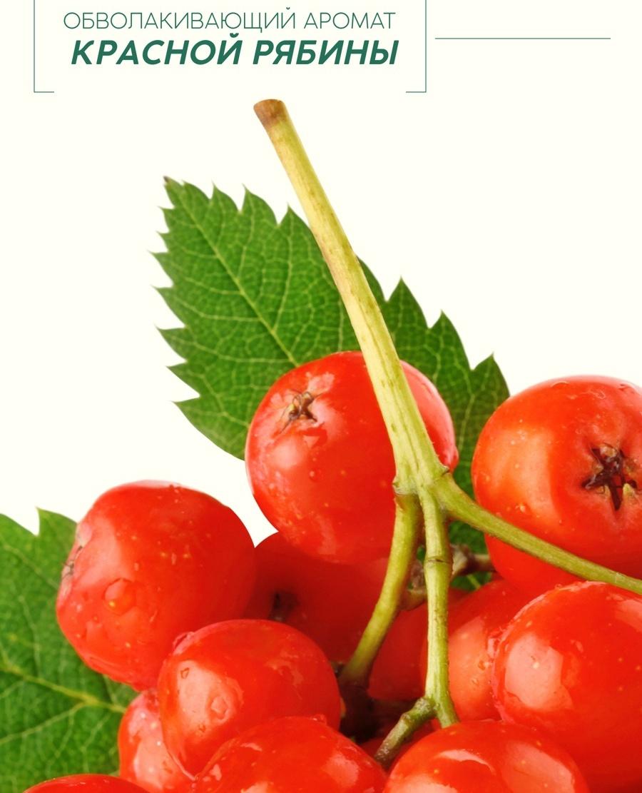 Пена для ванны, витаминный спа-уход, аромат рябины, 400 мл, Рябина