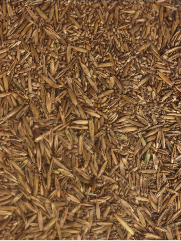 Газонная травосмесь Микс «Мой Выбор», травосмесь, 3 кг