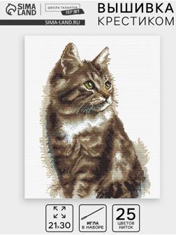 Вышивка крестиком «Домашний кот», набор для творчества, 21×30 см