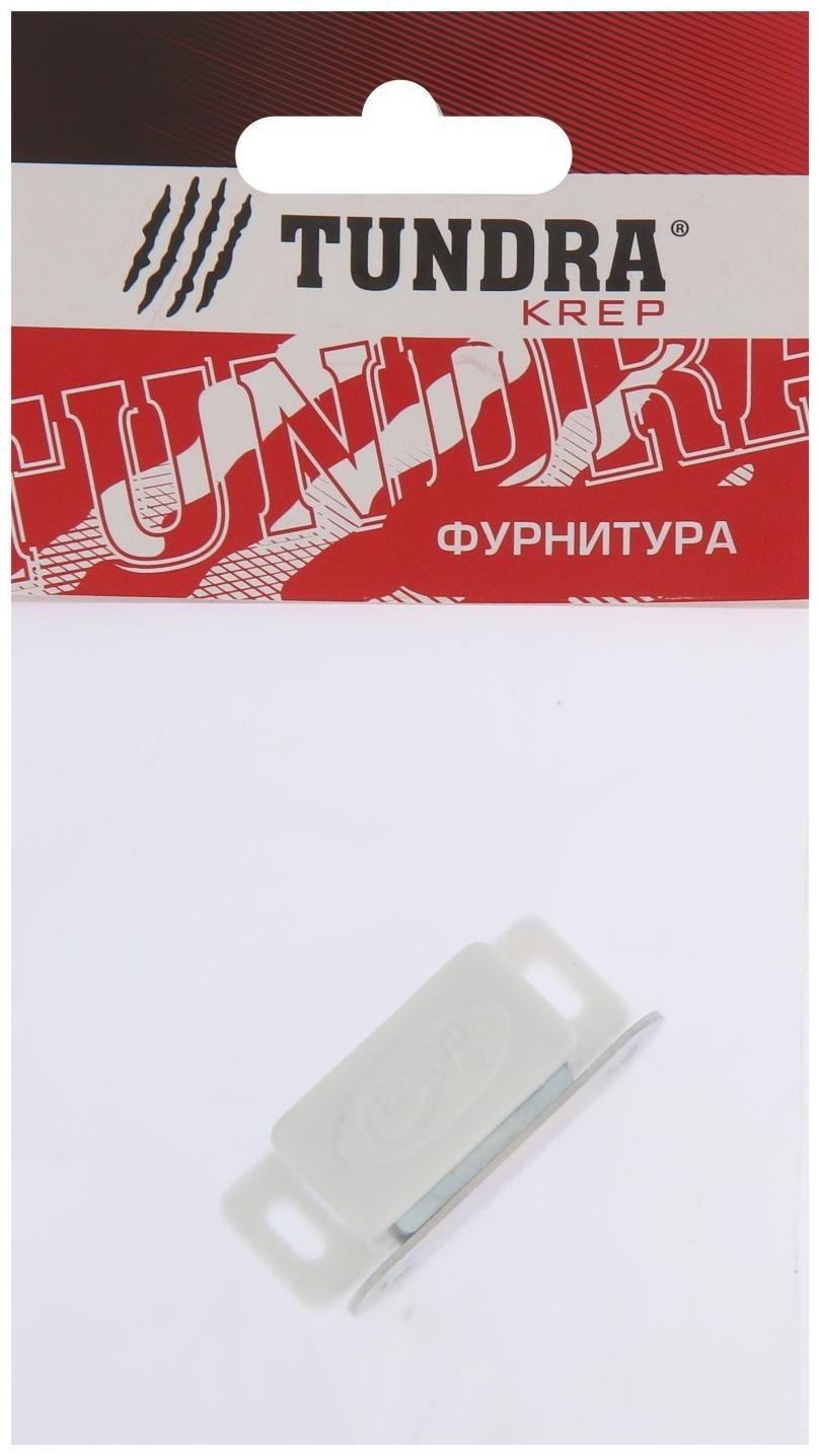Магнит мебельный ТУНДРА M001W, 41х13 мм, маленький, цвет белый, 1 шт.