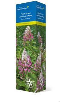 Гортензия метельчатая (Серия Северный Сад) 