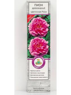 Пион древовидный (привитый на травянистый) 
