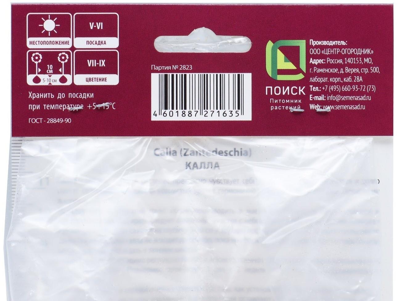 Калла белопятнистая, р-р 14/16, 1 шт, Весна 2025