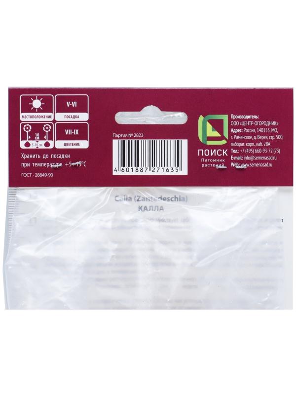 Калла белопятнистая, р-р 14/16, 1 шт, Весна 2025