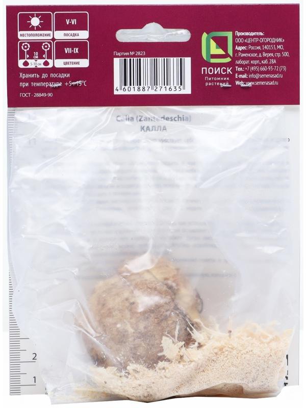 Калла белопятнистая, р-р 14/16, 1 шт, Весна 2025