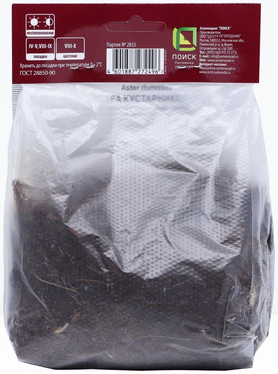 Астра кустарниковая «Леди ин Блу», корневище в торфогрунте, р-р I, 1 шт.