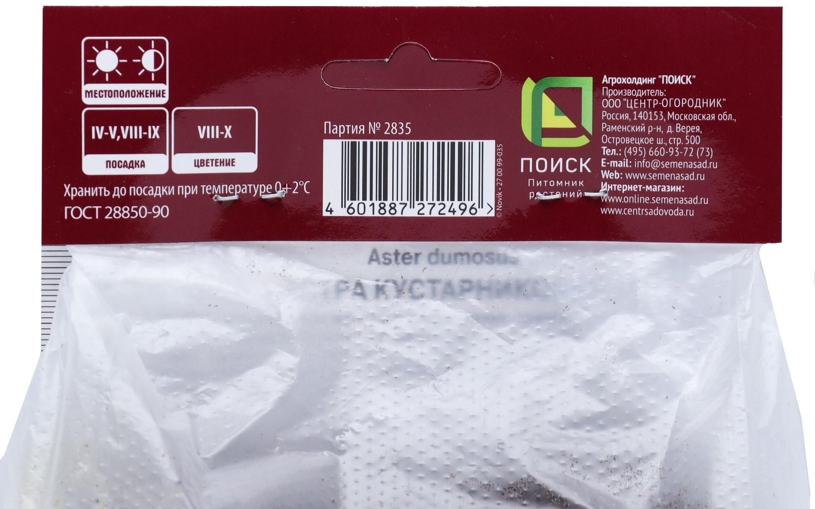 Астра кустарниковая «Леди ин Блу», корневище в торфогрунте, р-р I, 1 шт.