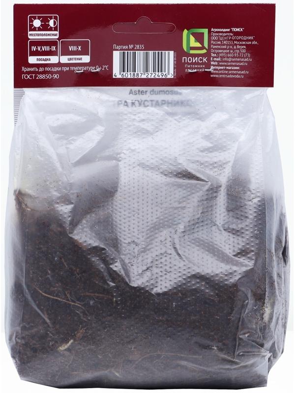Астра кустарниковая «Леди ин Блу», корневище в торфогрунте, р-р I, 1 шт.