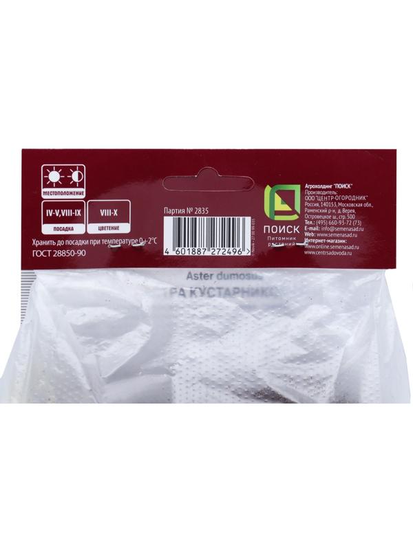 Астра кустарниковая «Леди ин Блу», корневище в торфогрунте, р-р I, 1 шт.