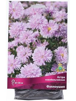 Астра новобельгийская «Фэллоушип»,корневище в торфогрунте, р-р I, 1 шт.