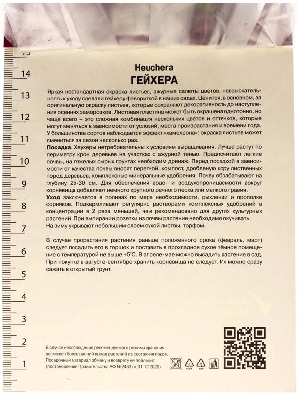 Гейхера (Хеухера) гибридная Бьюти Колор, корневище в пакете с торфогрунтом, р-р I, 1 шт.