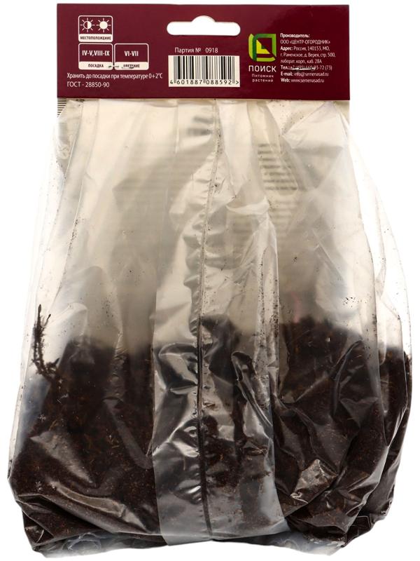 Гейхера (Хеухера) гибридная Бьюти Колор, корневище в пакете с торфогрунтом, р-р I, 1 шт.