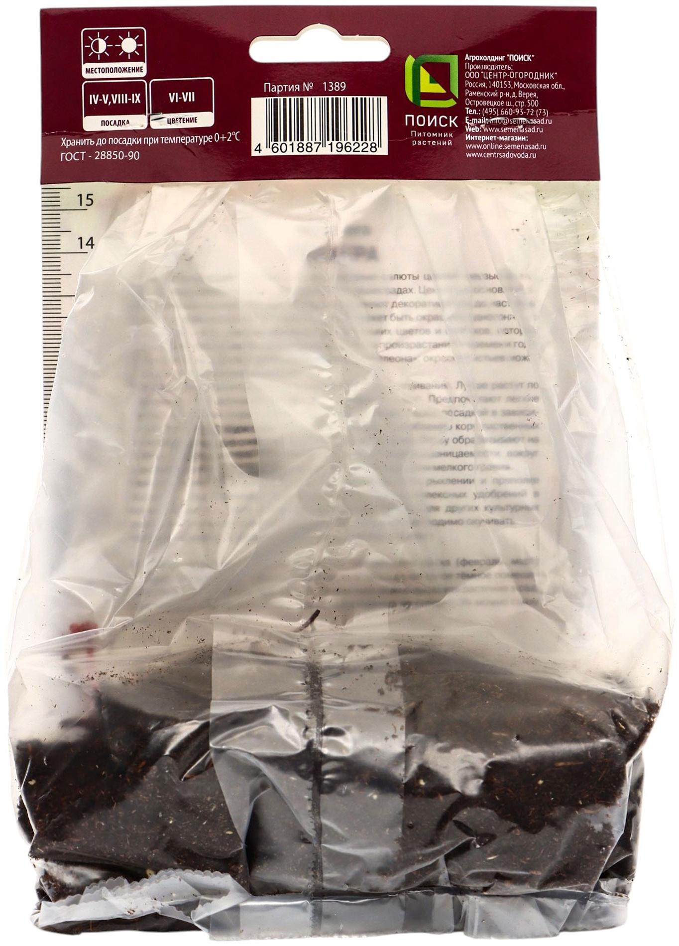 Гейхера (Хеухера) гибридная Кримсон Кёрлс, корневище в пакете с торфогрунтом, р-р I, 1 шт.