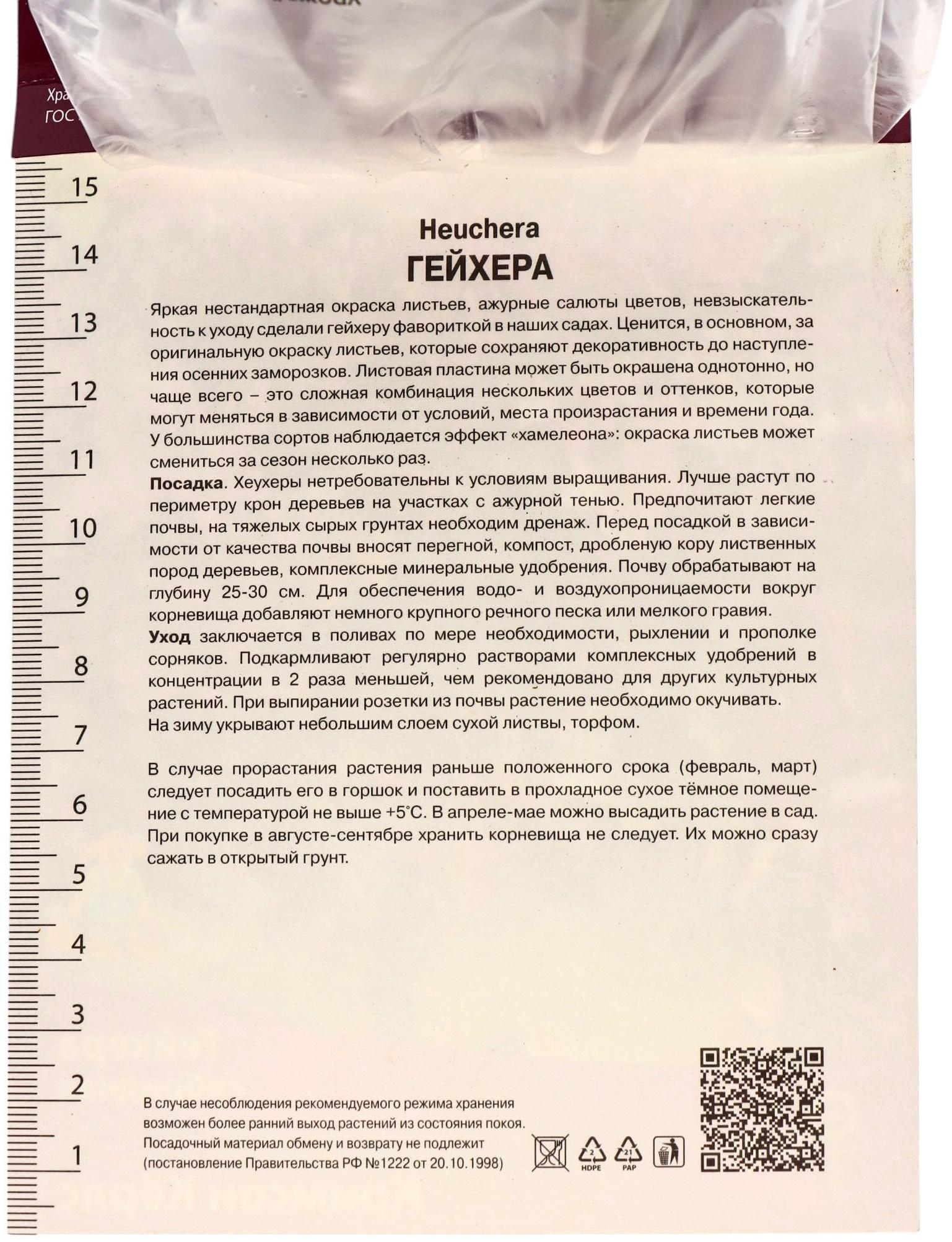 Гейхера (Хеухера) гибридная Кримсон Кёрлс, корневище в пакете с торфогрунтом, р-р I, 1 шт.