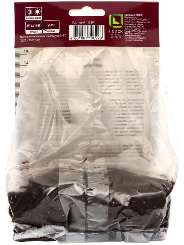 Гейхера (Хеухера) гибридная Кримсон Кёрлс, корневище в пакете с торфогрунтом, р-р I, 1 шт.