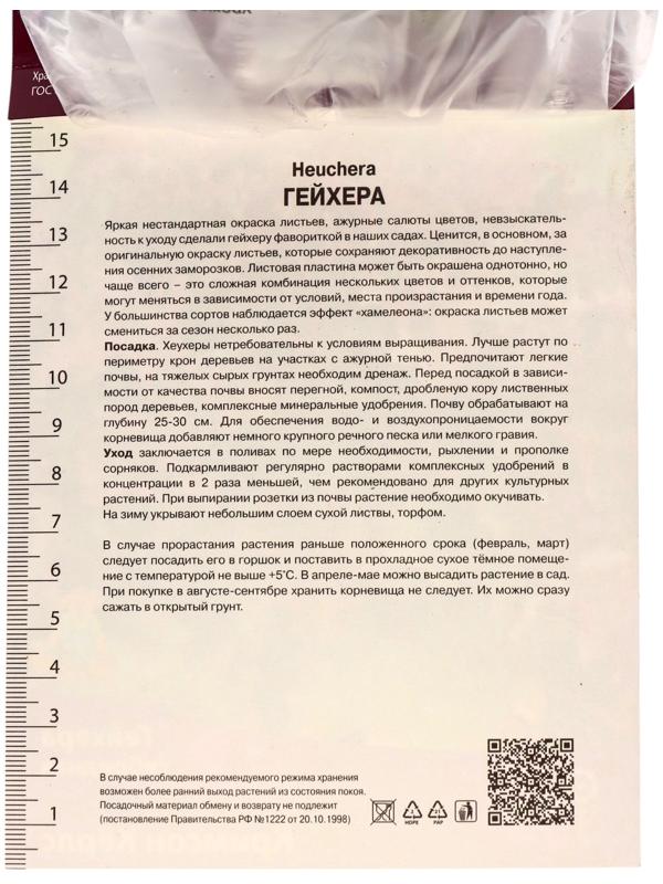 Гейхера (Хеухера) гибридная Кримсон Кёрлс, корневище в пакете с торфогрунтом, р-р I, 1 шт.