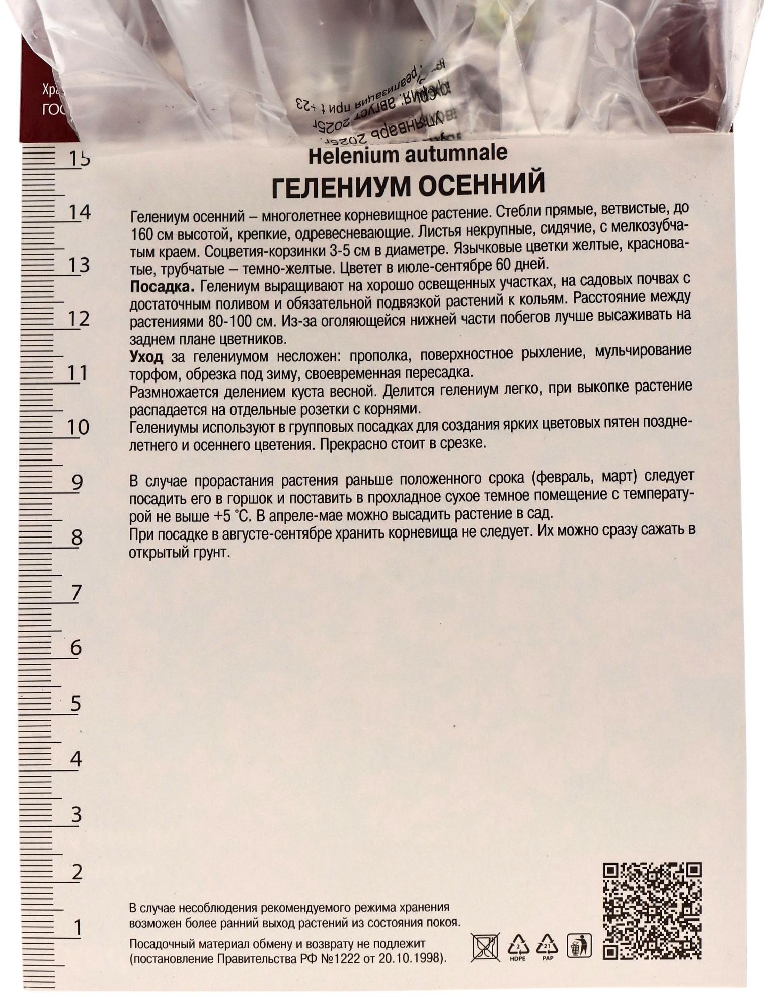 Гелениум осенний Волтраут, корневище в пакете с торфогрунтом, р-р l, 1 шт.
