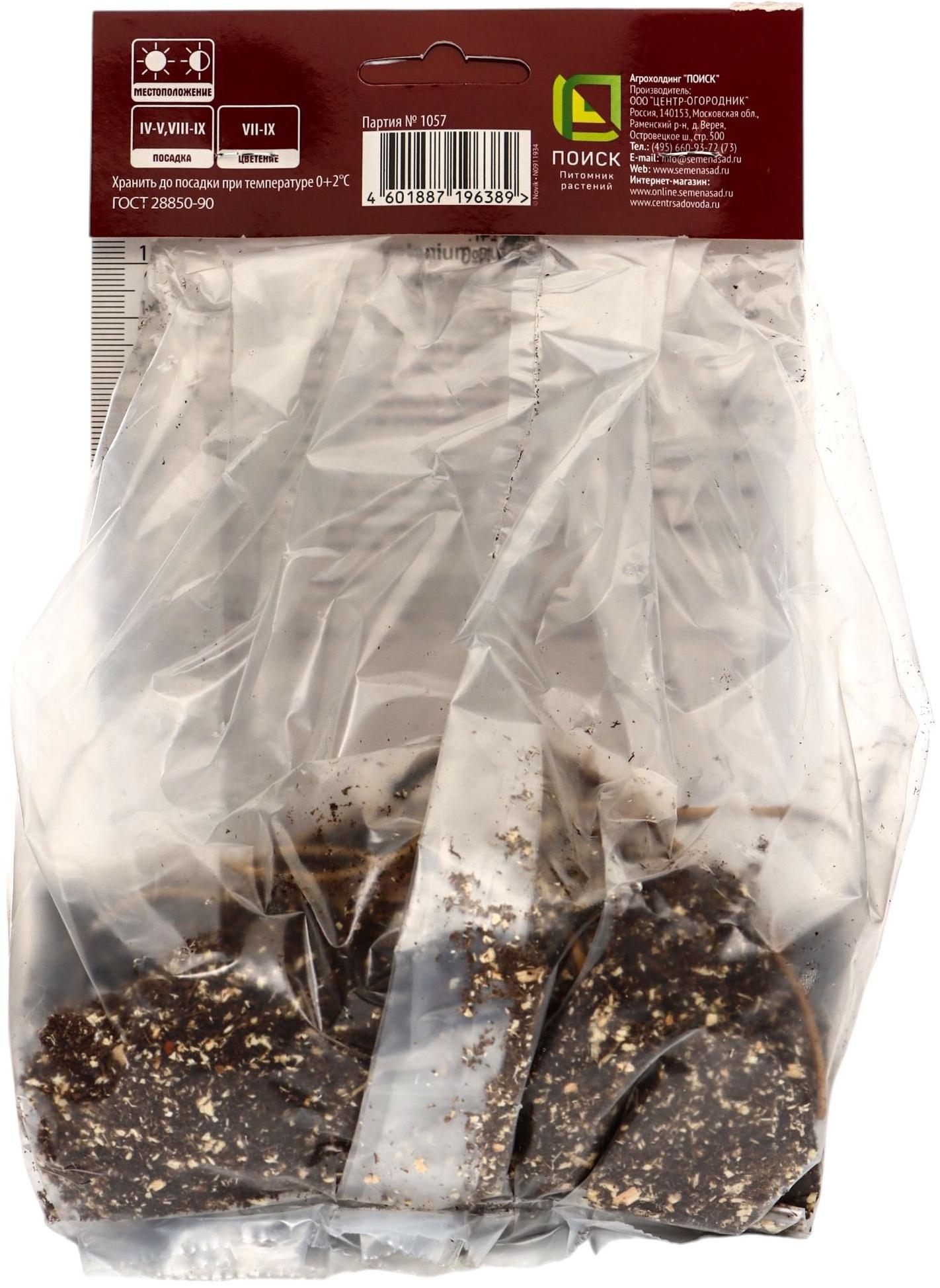 Гелениум осенний Волтраут, корневище в пакете с торфогрунтом, р-р l, 1 шт.