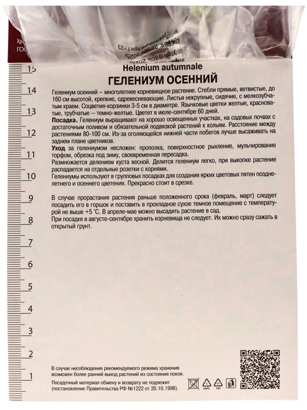 Гелениум осенний Волтраут, корневище в пакете с торфогрунтом, р-р l, 1 шт.