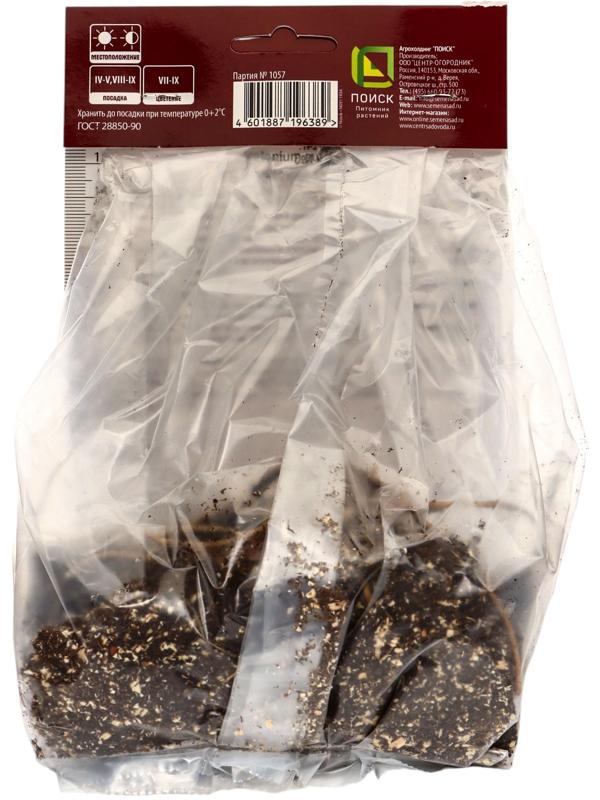 Гелениум осенний Волтраут, корневище в пакете с торфогрунтом, р-р l, 1 шт.