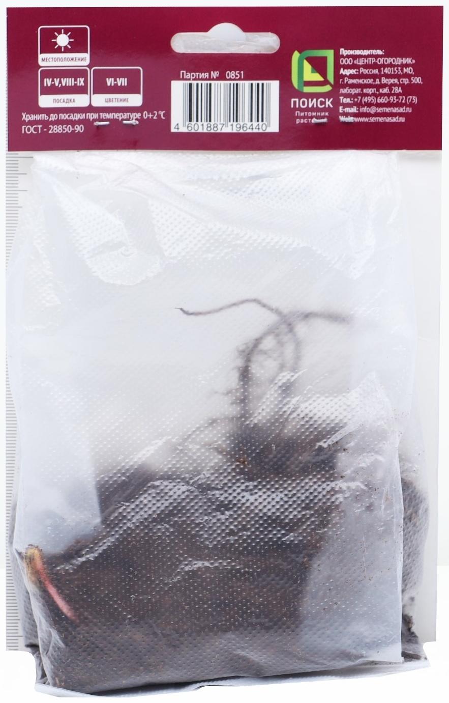 Герань гибридная Блу Блад, корневище в пакете с торфогрунтом, р-р I, 1 шт.