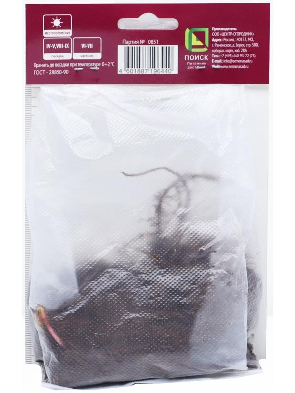 Герань гибридная Блу Блад, корневище в пакете с торфогрунтом, р-р I, 1 шт.