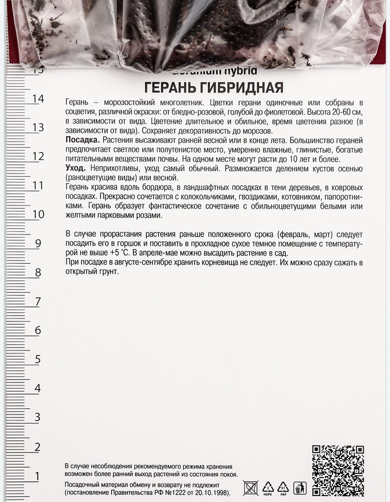Герань гибридная Патриция, корневище в пакете с торфогрунтом, р-р I, 1 шт.