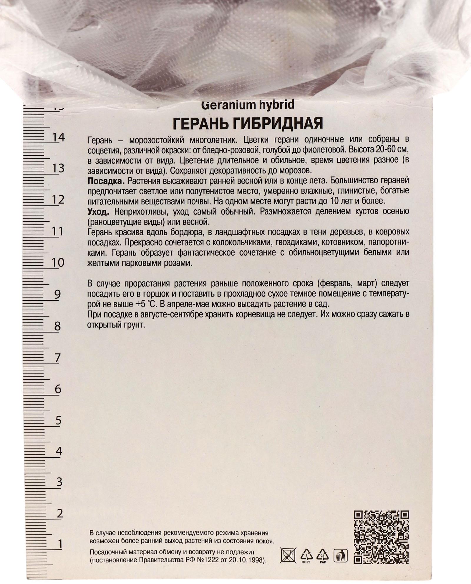 Герань гибридная Патриция, корневище в пакете с торфогрунтом, р-р I, 1 шт.