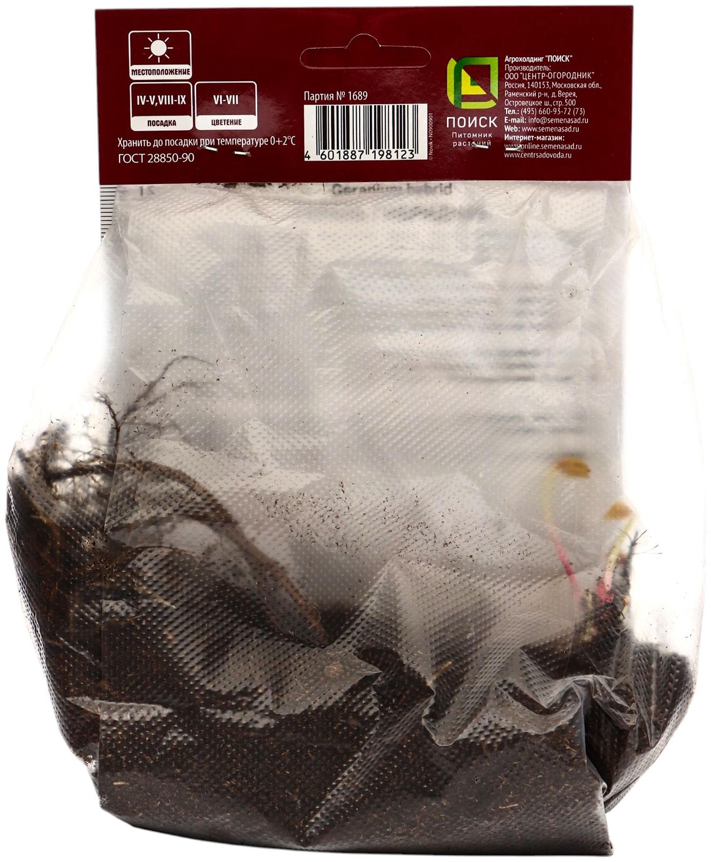 Герань гибридная Патриция, корневище в пакете с торфогрунтом, р-р I, 1 шт.