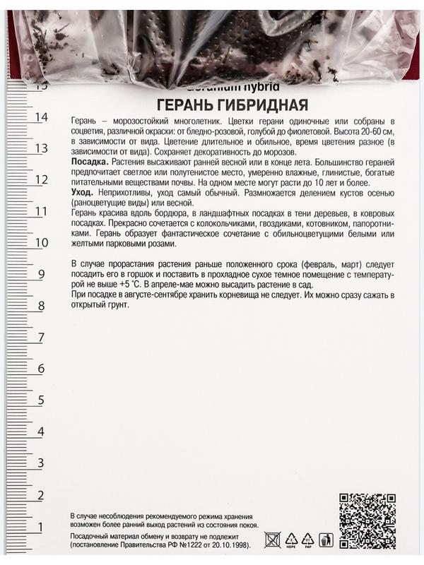 Герань гибридная Патриция, корневище в пакете с торфогрунтом, р-р I, 1 шт.