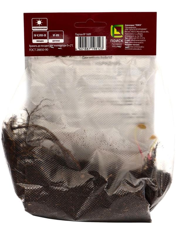 Герань гибридная Патриция, корневище в пакете с торфогрунтом, р-р I, 1 шт.