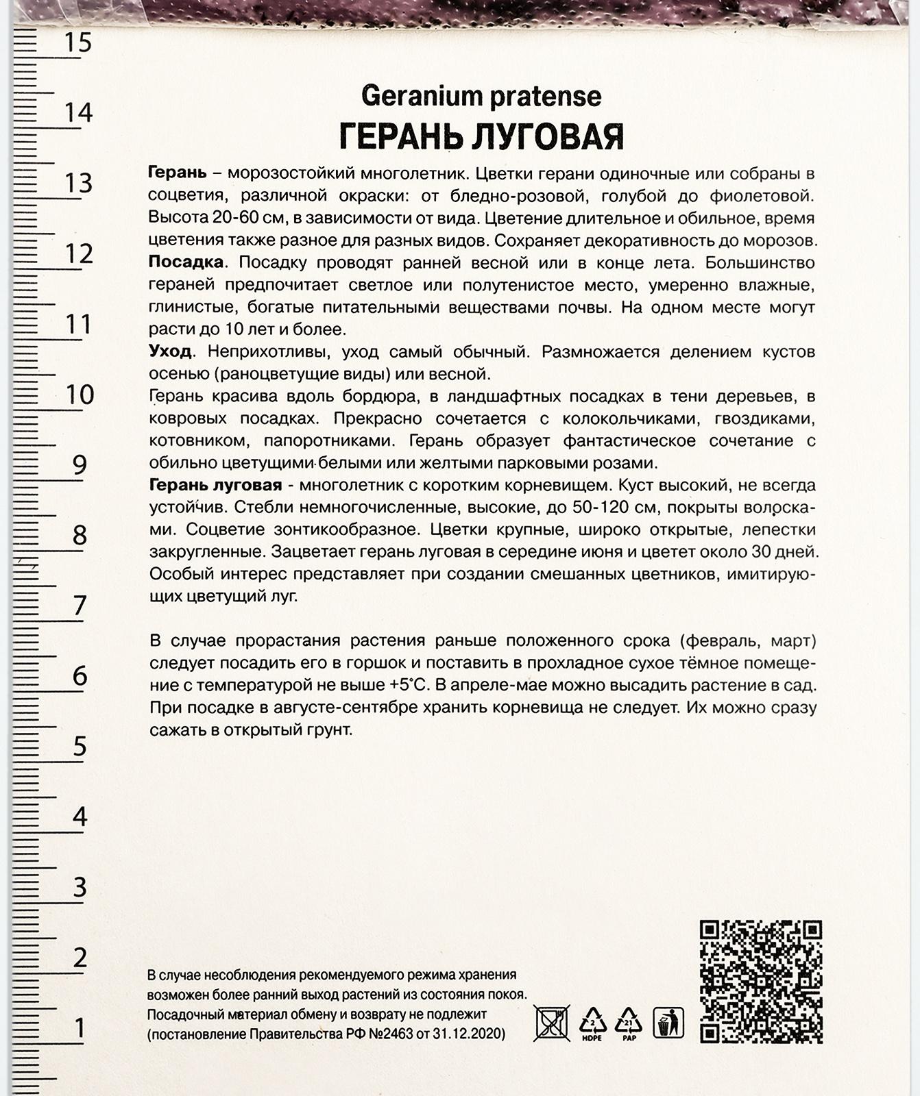 Герань луговая Сплиш Сплэш, корневище в пакете с торфогрунтом, р-р I, 1 шт.
