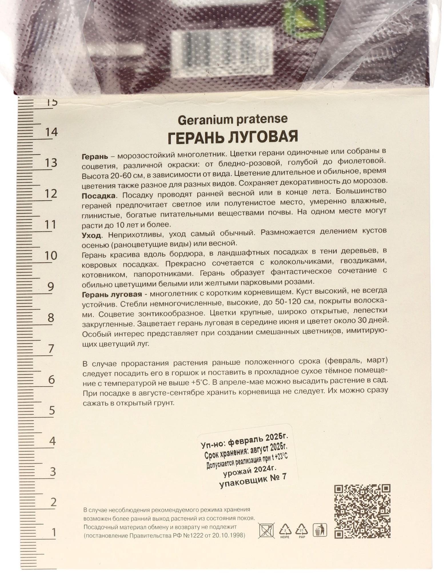 Герань луговая Сплиш Сплэш, корневище в пакете с торфогрунтом, р-р I, 1 шт.