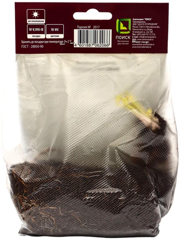 Герань луговая Сплиш Сплэш, корневище в пакете с торфогрунтом, р-р I, 1 шт.