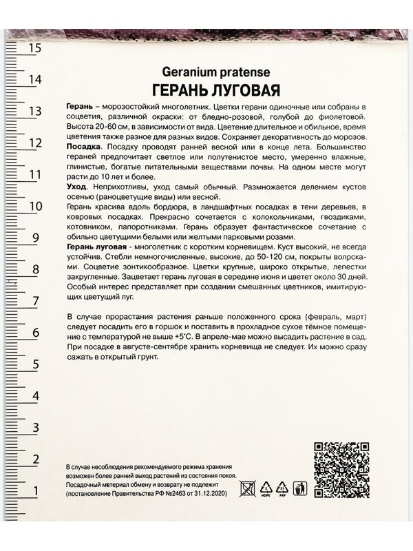 Герань луговая Сплиш Сплэш, корневище в пакете с торфогрунтом, р-р I, 1 шт.