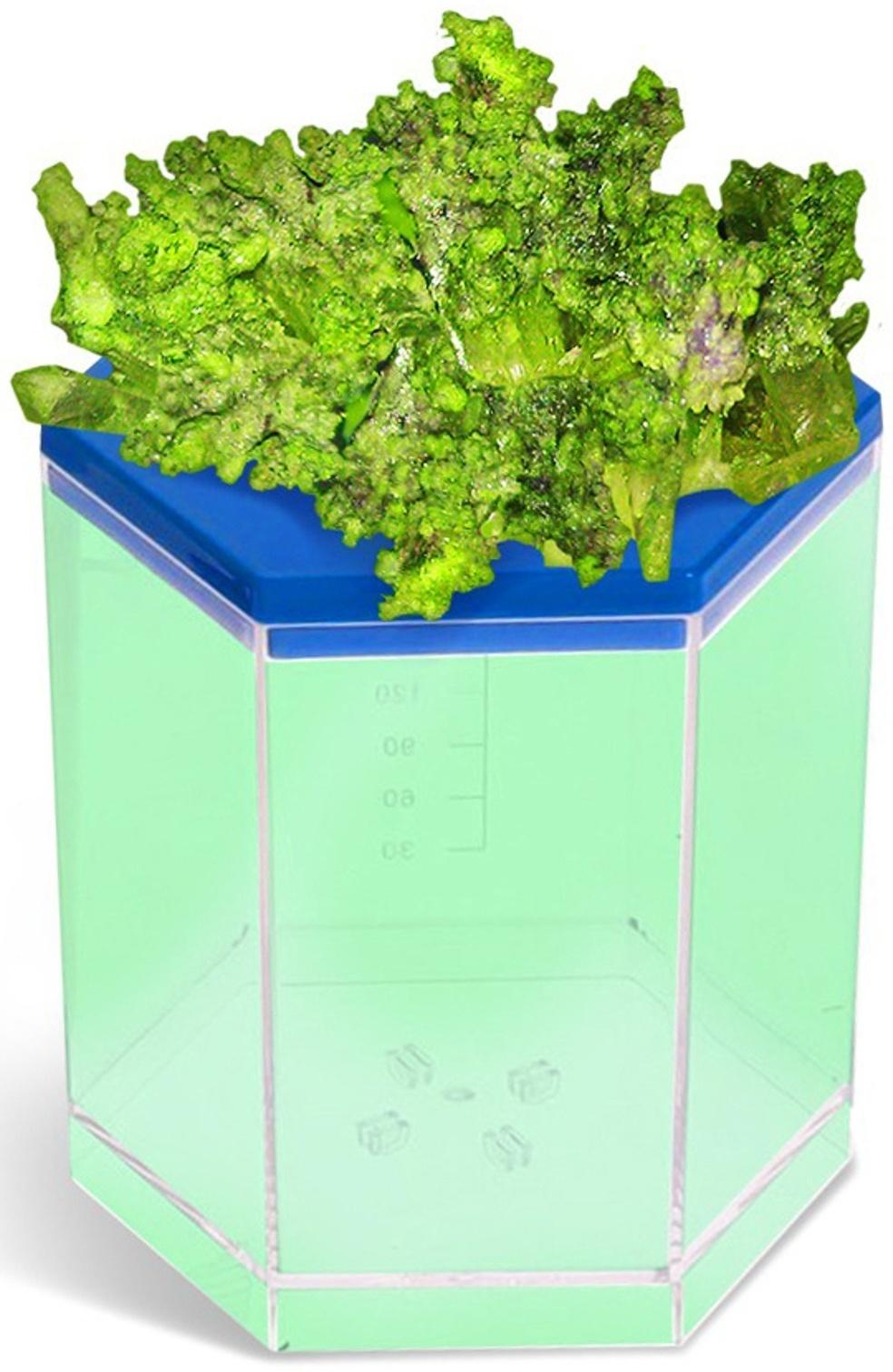 Уценка (в пакете) Выращивание кристалла «Мастерская», зелёный