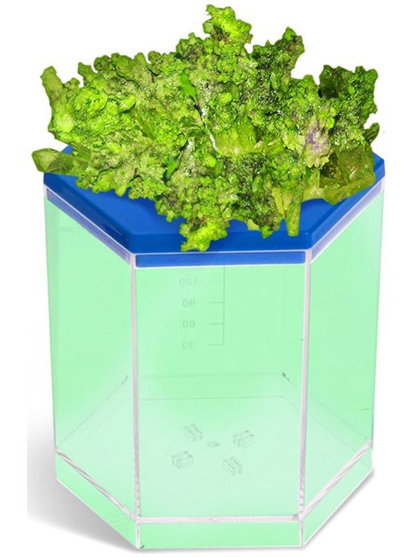 Уценка (в пакете) Выращивание кристалла «Мастерская», зелёный